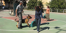 GdF: esibizione di cani antidroga